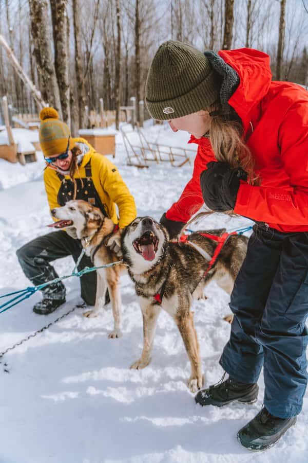 Dogsledding Upper Laurentians near Mont-Tremblant - Weather-Dependent Sights: Mountains, Lakes, and Beaver Country