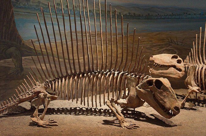 Drumheller and Badlands Full-Day Tour with a Small Group - East Coulee School Museum Lunch Break: Homemade Food, Your Cost