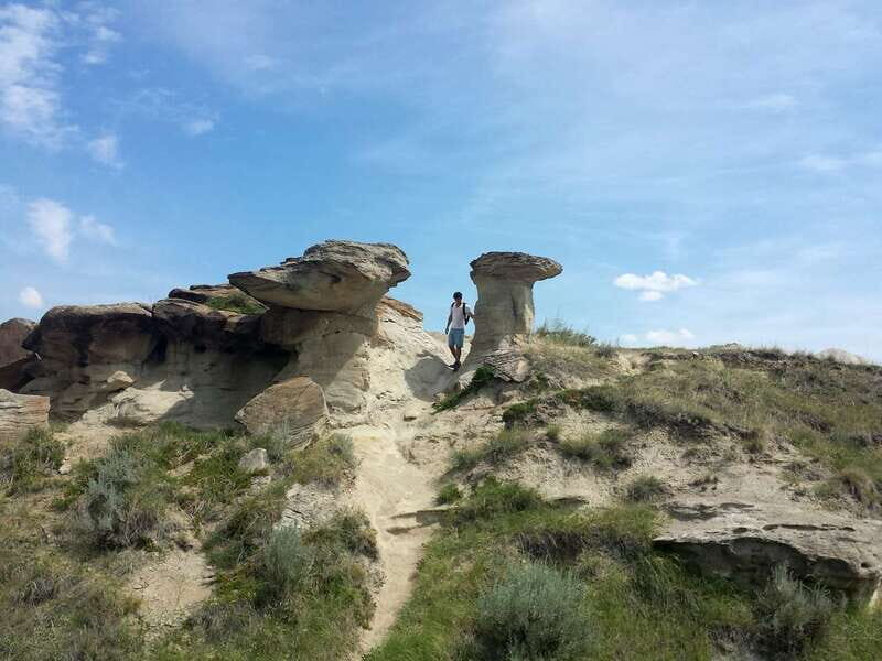 Drumheller: Bad Land & Dinosaur Museum Tour from Calgary - Price and Value: Is $105 Worth It for a Calgary Day Trip?