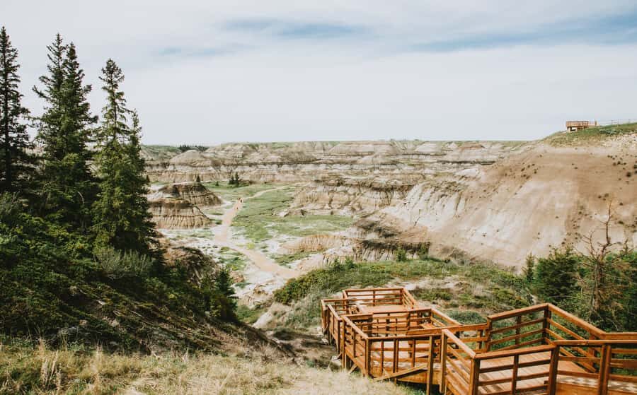 Drumheller: Dinosaurs, Canyons, & Hoodoos Day Tour - Royal Tyrrell Museum: Where the Fossils Take Over