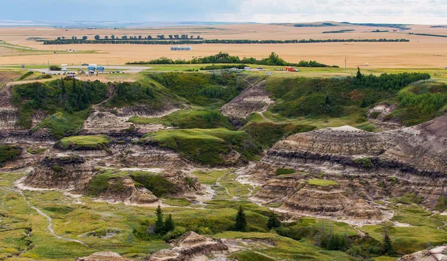 Drumheller: Dinosaurs, Canyons, & Hoodoos Day Tour - Price and Value at $119: What You’re Getting For One Day