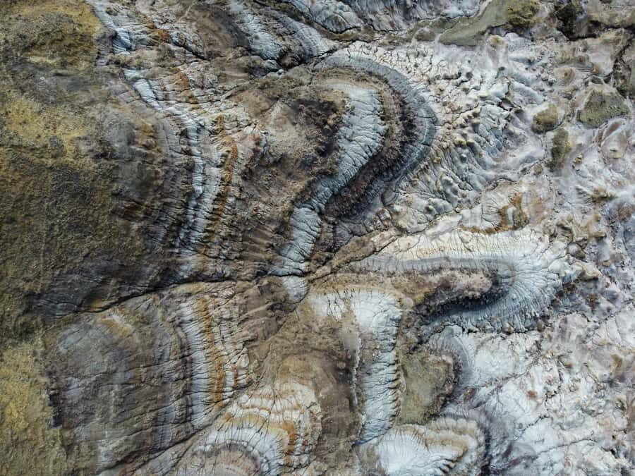 Drumheller: Dinosaurs, Museum, & Hoodoos Day Tour - Passing the World’s Largest Dinosaur: Quick Landmark, Big Local Charm