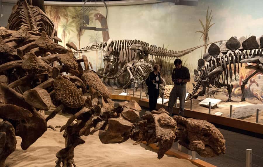 Drumheller: Dinosaurs, Museum, & Hoodoos Day Tour - Price and Value: Is $116 Worth It?
