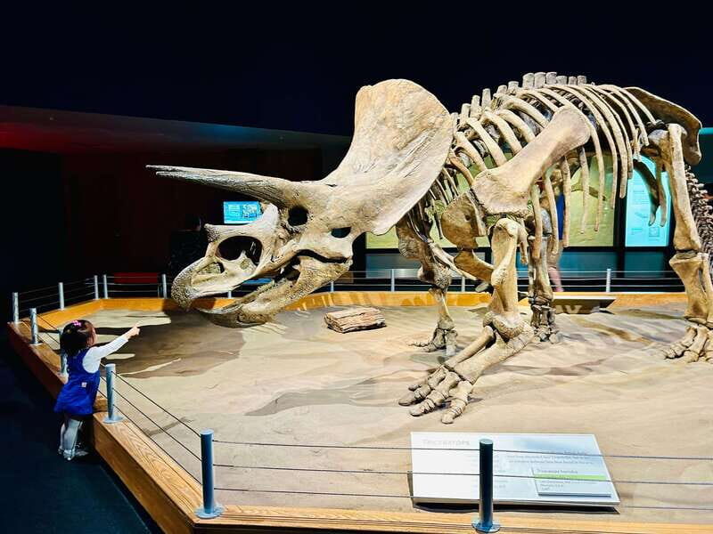 Drumheller Full-day Private Sightseeing Tour - Welcome Sign and World’s Largest Dinosaur: Start Strong Without Losing the Day