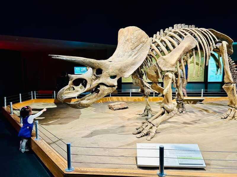 Drumheller Full-day Private Sightseeing Tour - Atlas Coal Mine National Historic Site: Industrial History Adds Depth