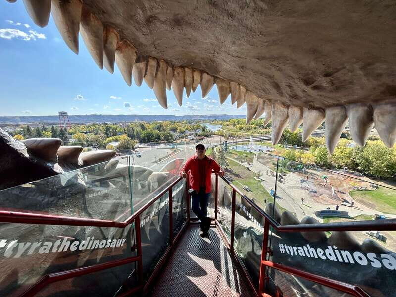 Drumheller Full-day Private Sightseeing Tour - Calgary Pickup to Drumheller: The A/C Van Part You’ll Feel Later