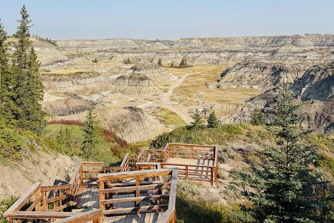 Drumheller & Hoodoos Day Trip from Calgary, Explore the Badlands - Royal Tyrrell Museum: dinosaur priority with more time inside