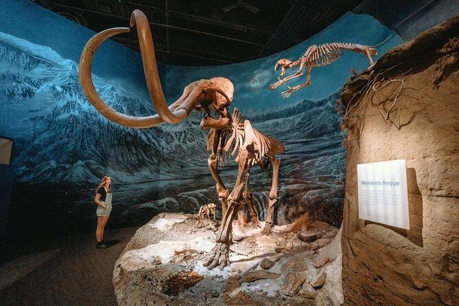 Drumheller: Royal Tyrrell Museum, Hoodoos and Horseshoe Canyon - Key Points at a Glance