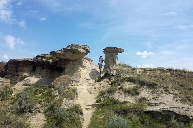 Drumheller: Royal Tyrrell Museum, Hoodoos and Horseshoe Canyon - Tyra: the World’s Largest Dinosaur photo break