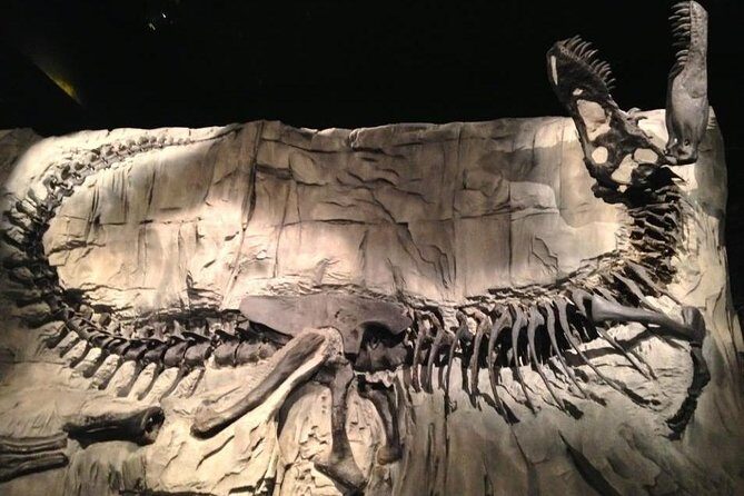 Drumheller: Royal Tyrrell Museum, Hoodoos and Horseshoe Canyon - The guide experience: language mix, pacing, and named strengths