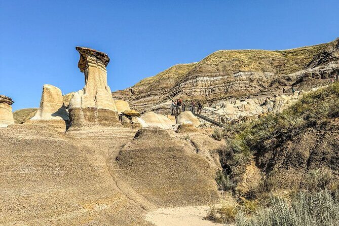 Drumheller Tour Royal Tyrell Museum Shared Tour - A shared shuttle pace for Drumheller’s big hits