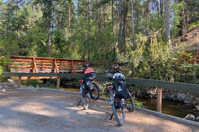 E-Bike Salmon Adventure - Key highlights you should care about