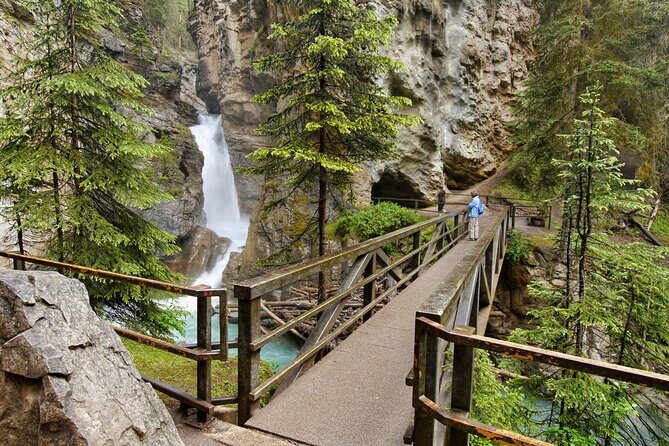 eBike and Hike Banff to Johnston Canyon small group guided program - Wildlife odds: not guaranteed, but the route gives you chances