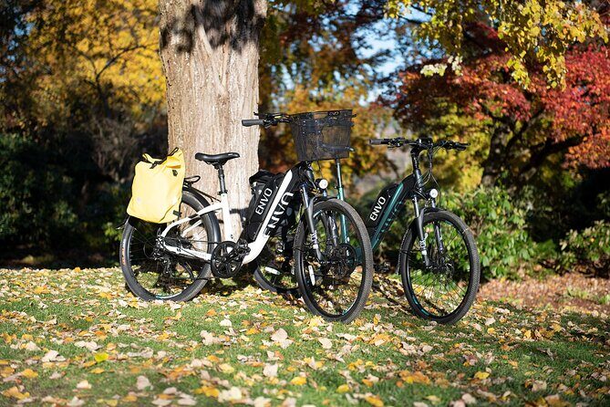 eBike Rentals in Kelowna - E-bike basics that make the day feel easy