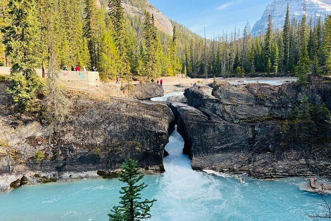 Emerald Lake,Natural Bridge, Wapta Falls & Takakkaw Falls in Yoho - Key Highlights You’ll Actually Notice