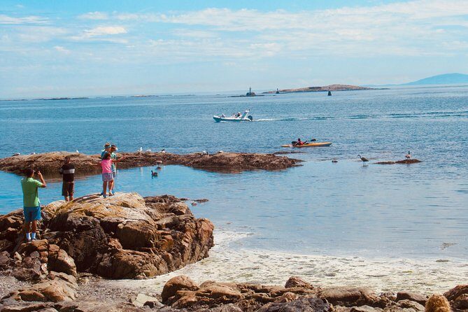 Essence of Victoria: Private Tour of Nature, History & Coast - Why this private 4-hour circuit beats trying to DIY everything