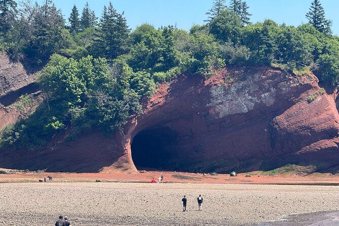 Exclusive Sightseeing Tour in Saint John - Key takeaways before you go
