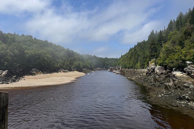 Exclusive Sightseeing Tour in Saint John - Reversing Falls Rapids: tides that turn water into drama
