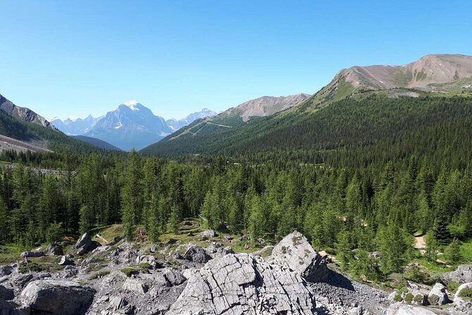 Exclusive Skoki Backcountry Guided Hiking in Lake Louise with Van Shuttle - Why Skoki Backcountry Feels Different Than the Usual Lake Louise Trails