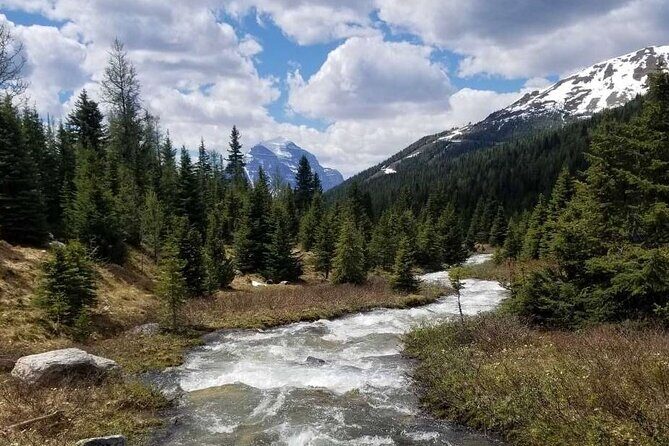 Exclusive Skoki Backcountry Guided Hiking in Lake Louise with Van Shuttle - Lunch With Your Group: Turkey Sandwich, Snacks, and Hydration