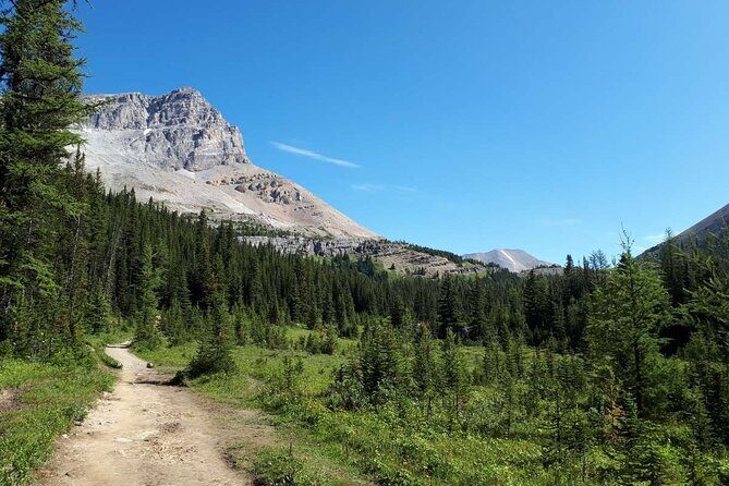 Exclusive Skoki Backcountry Guided Hiking in Lake Louise with Van Shuttle - Getting There: Van Shuttle Up Lake Louise Fire Road