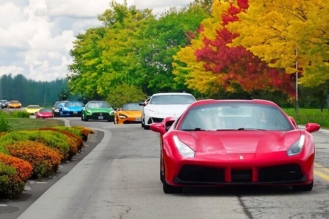 Exotic Car Driving Tours with Super Cars in Blue Mountain - Collingwood Meets Blue Mountain: The Drive-First Setup
