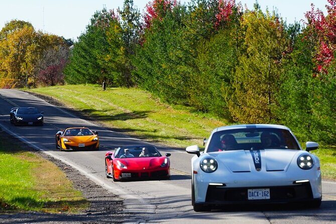 Exotic Car Driving Tours with Super Cars in Blue Mountain - Who This Tour Fits Best