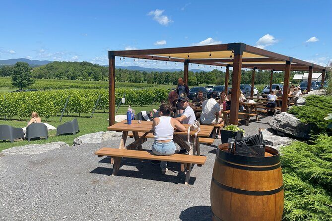 Experience île d'Orléans and the falls with a local guide - Montmorency Falls: bridge views, cable car, and mist at the base