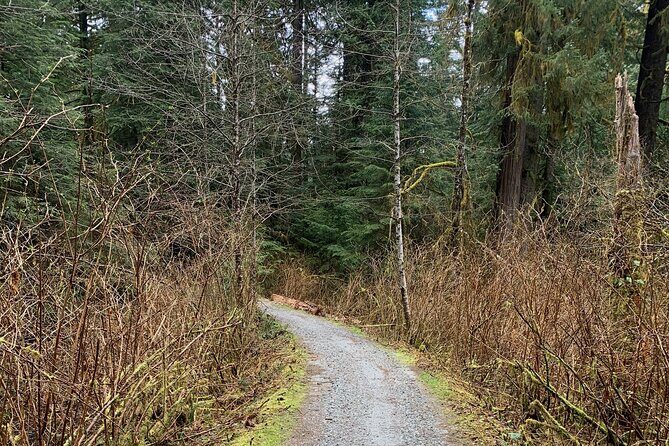 Experience the Beauty of Vancouver’s Forests by Bike/E-Bike - Weather matters more than you think