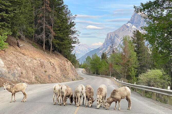 Explore 3 National Parks - Exclusive Small Group Tour - Stop 3: Natural Bridge in Yoho (15 Minutes)