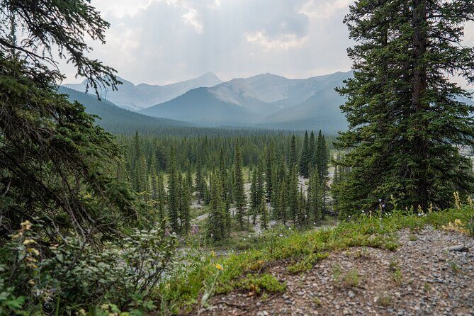 EXPLORE Canmore's HIDDEN Trails and Local Landmarks - 3H Hike - Hidden waterfalls: what to expect and how to enjoy them