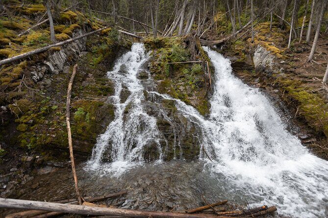EXPLORE Canmore's HIDDEN Trails and Local Landmarks - 3H Hike - Price and value: why $68.02 can be a good deal