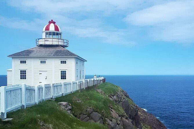 Explore St. John's Scenic Bus Tour to Cape Spear and Quidi Vidi - Price and logistics: what $71.31 really buys