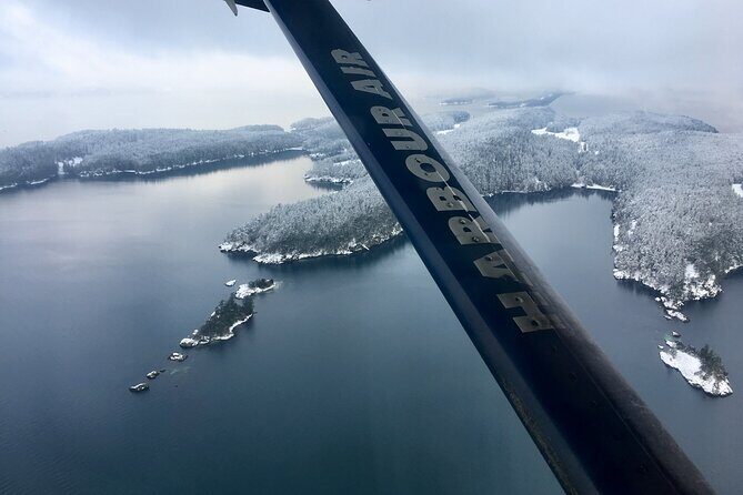 Extended Vancouver Panorama Scenic Seaplane Tour - Downtown loop: BC Place and Science World from above