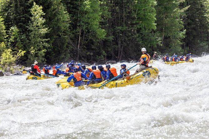 Extreme Whitewater Rafting on Kicking Horse River - Getting to Kootenay River Runners: timing and what to plan