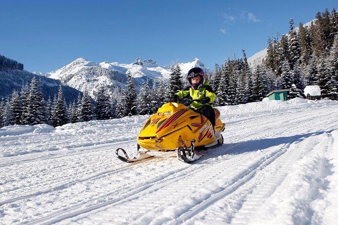 Family Snowmobile Tour in Whistler - Quick Hits: What Makes This Family Snowmobile Tour Work