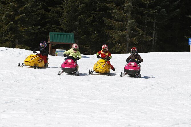 Family Snowmobile Tour in Whistler - Stop Moments: Black Tusk, Mount Fee, and Backside Views