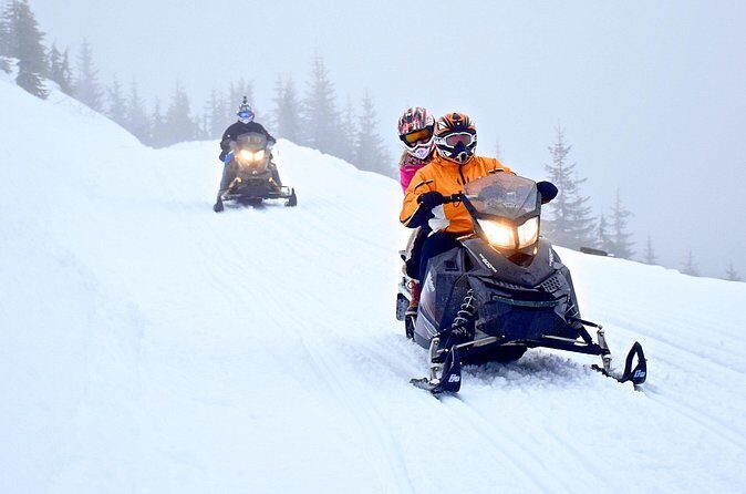 Family Snowmobile Tour in Whistler - The Cabin or Dome Stop: A Warm Reset