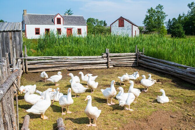 Family visit to the Acadian Historic Village - Price and value: is $40.05 a good deal?