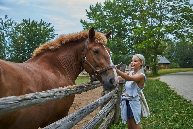 Family visit to the Acadian Historic Village - Weather, parking, and the practical stuff that saves your day