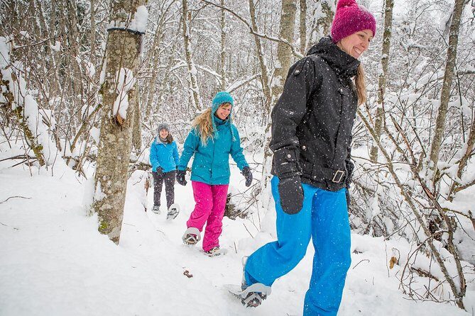 Fire Man Guided Snowshoe Tour in Mont-Tremblant - Weather Reality: When Snow Doesn’t Cooperate