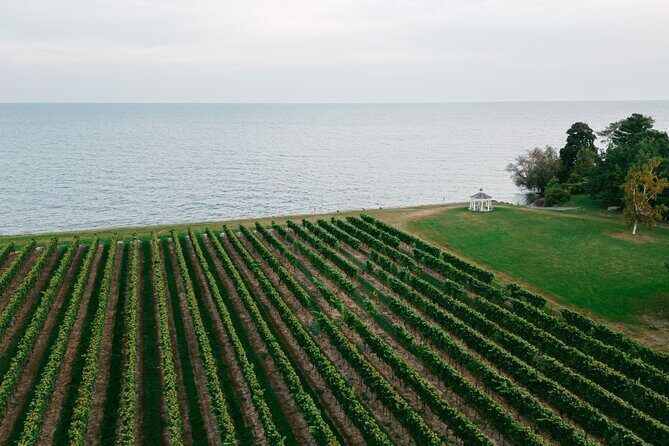 Fireside Flights Outdoor Tasting Experience - The 45-Minute Seasonal Flight: Mulled Wine Included