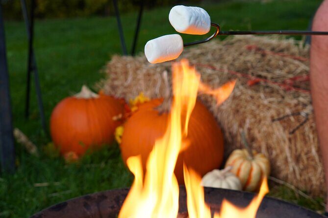 Fireside Warm-Up: Wine Tasting, S'mores & Mulled Wine in Kelowna - Timing, Group Size, and Why 1.5 Hours Works