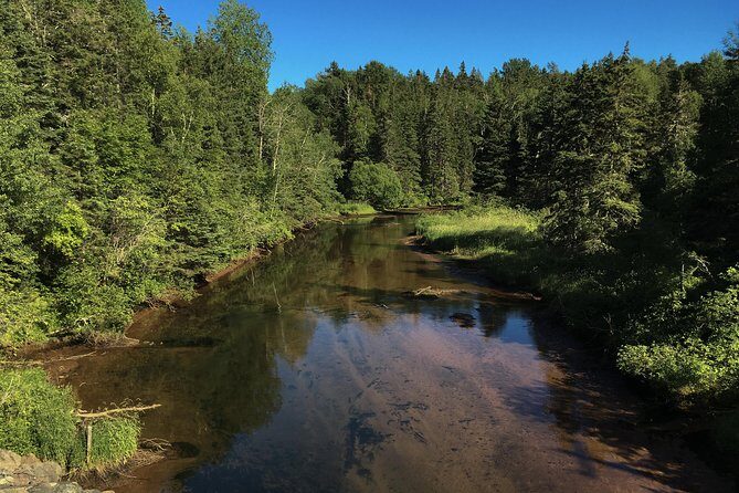 Fly Fishing Guided Experiences - Prince Edward Island Fly Fishing: What You’re Really Buying