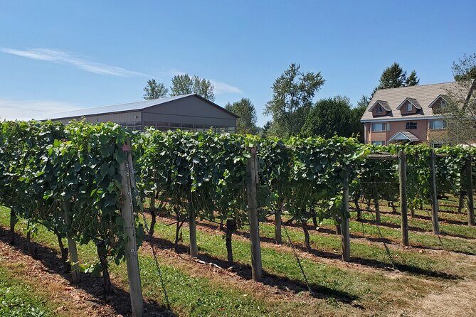 Fraser Valley Wine Tour from Vancouver with a Light Lunch - Fraser Valley Wine Tour Timing: 5.5 Hours That Fits 3 Tastings