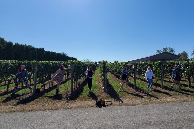 Fraser Valley Wine Tour from Vancouver with a Light Lunch - Stop 3 Glass House Estate Winery: Glass Architecture and a Sustainable Finish