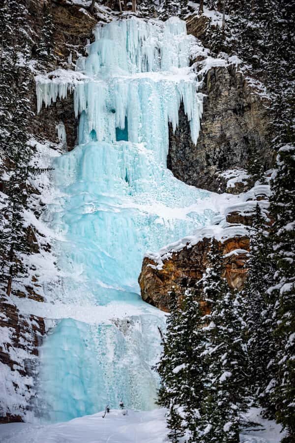 From Banff Guided Johnston Canyon Night Walk and Stargazing - Key Things I’d Watch For on This Night Walk
