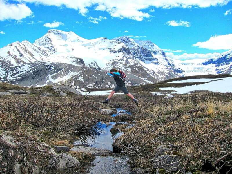 From Banff/Lake Louise: 1-Way Sightseeing Tour to Jasper - Picnic lunch on the Icefields Parkway: a break you actually enjoy