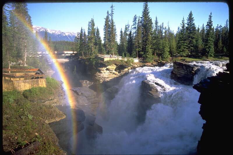 From Banff/Lake Louise: 1-Way Sightseeing Tour to Jasper - Athabasca Falls and the end in Jasper: finishing with motion and water