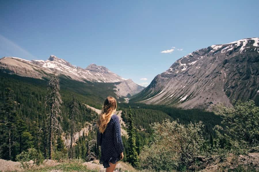 From Banff: Scenic Icefields Parkway Premium Guided Day Tour - Key highlights to expect from this Icefields Parkway day trip